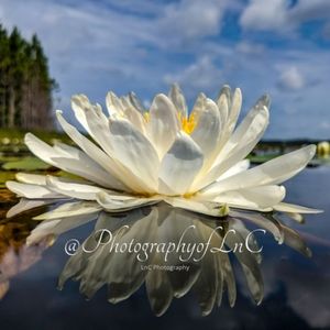 Meet your Posher, Lindsy